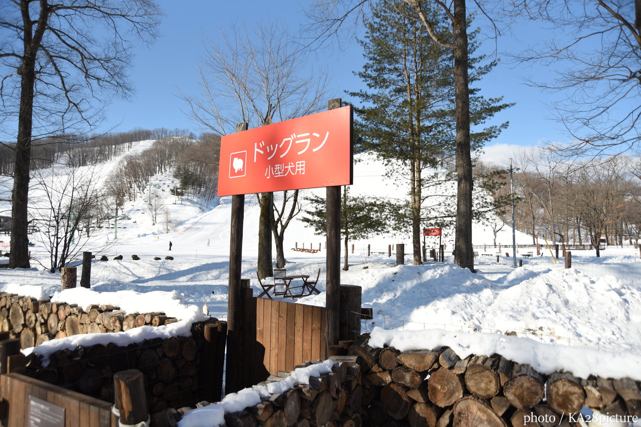 めむろ新嵐山スカイパーク｜雪山の楽しみ方は、あなた次第！お洒落に生まれ変わった十勝のローカルスキー場へ(*^^*)